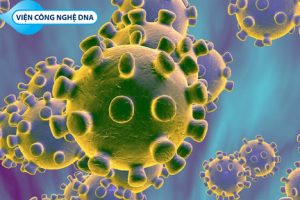 Những điều cần biết về Virus Corona?