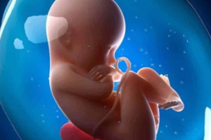 [Kiến thức] 4 ưu điểm của xét nghiệm NIPT – Sàng lọc trước sinh không xâm lấn