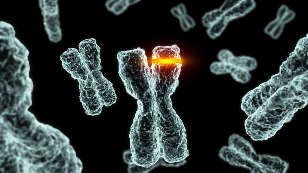 Cho đến nay, có khoảng 5000 rối loạn di truyền đã được xác định, di truyền theo kiểu Mendelian (di truyền đơn gen – do một gen quyết định).