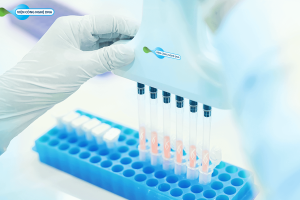 Xét nghiệm Xác định người lành mang gen bệnh – CARRIER TEST
