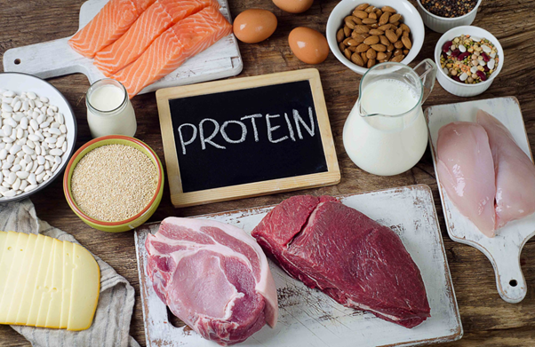 Bổ sung protein giúp tăng cường sức khỏe, chống lại bệnh tật