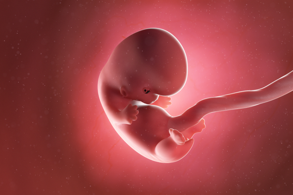 Những biểu hiện nào cho thấy thai nhi 9 tuần tuổi chưa bám chắc hoặc có vấn đề về sức khỏe?