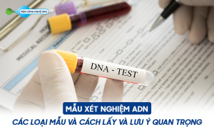 Mẫu xét nghiệm ADN: Các loại mẫu và cách lấy và lưu ý quan trọng